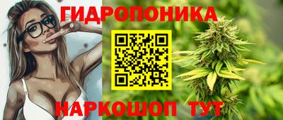 эйфоретик Камышлов