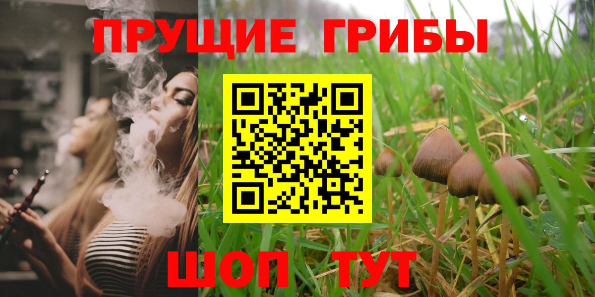 Галлюциногенные грибы GOLDEN TEACHER  Вход с VPN  Краснодар 